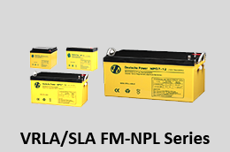 battery-FM-NPL-series