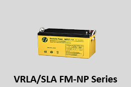 battery-FM-NP-series